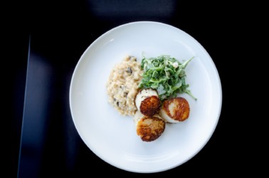 Lark, Spring Menu Scallops